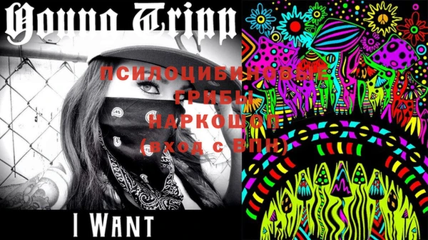 индика Сафоново