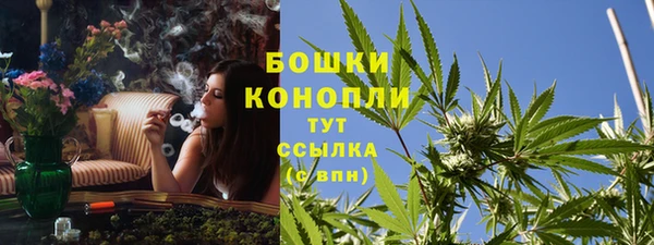 гидропоника Арсеньев